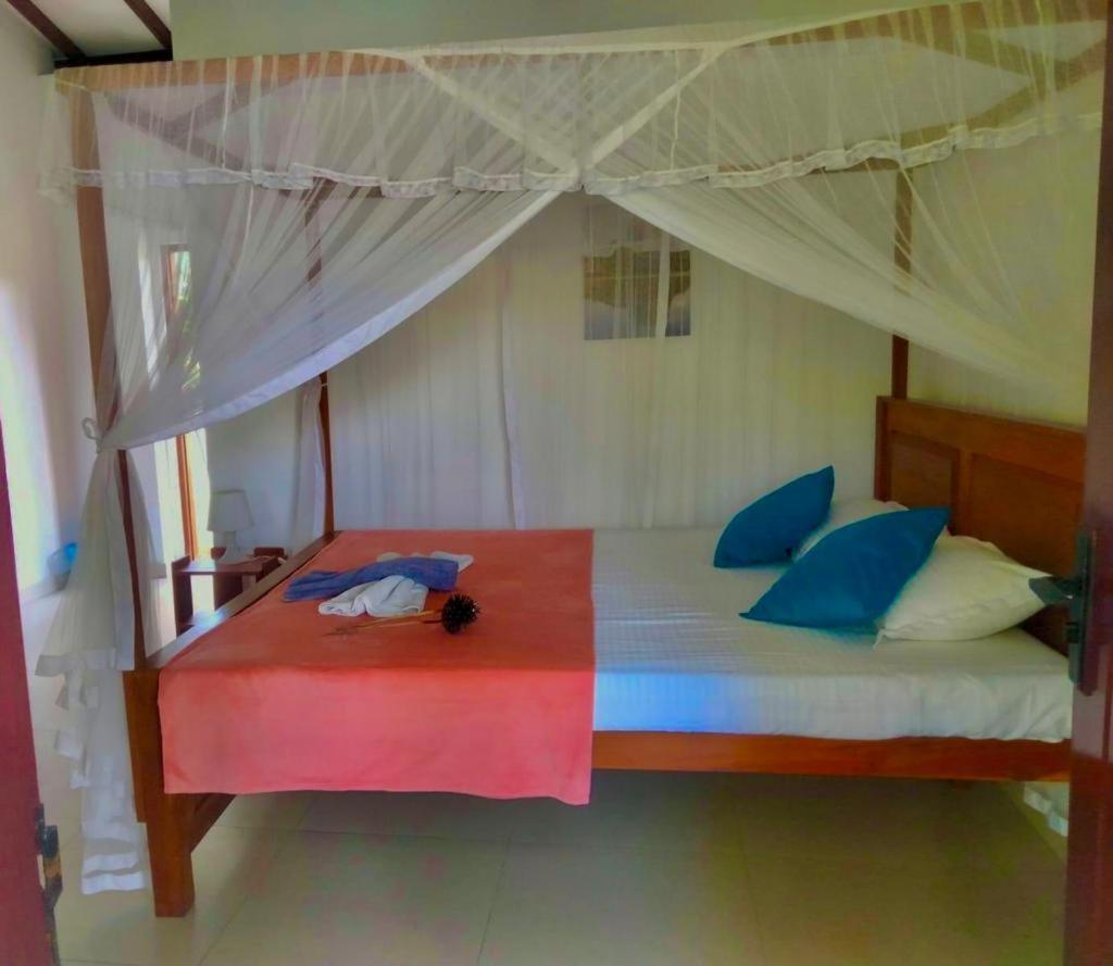 The Swiss Lankan Ahangama Room photo